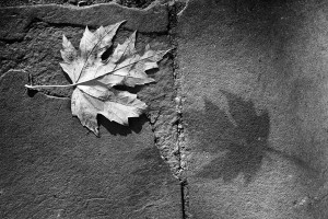 Giulio Centurelli-Fotografia